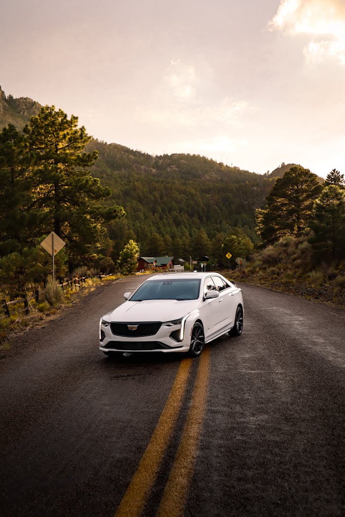 about-us A stylish white car on a scenic mountain road surrounded by trees during sunset.